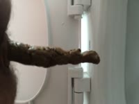 Alex- Cagada Fedida!